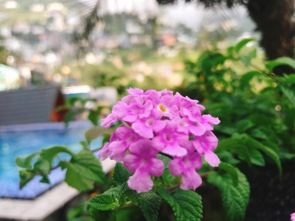 Nhà Trên Mây - Homstay Tam Đảo Ngoại thất bức ảnh